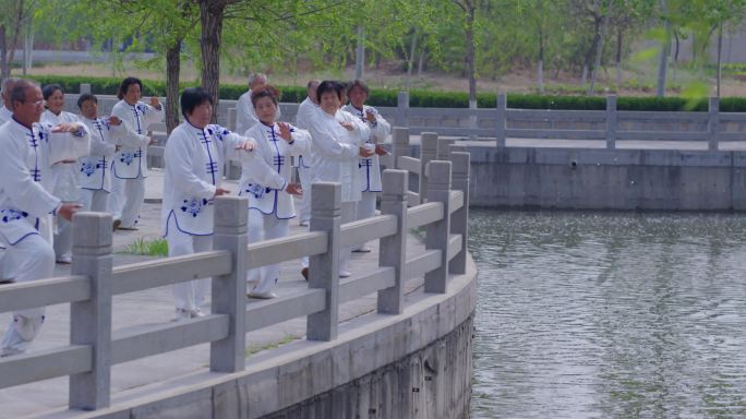 老年健身太极拳