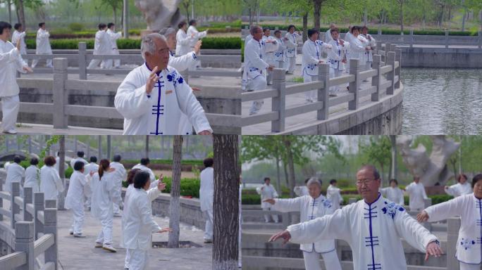 老年健身太极拳