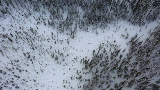 阿尔泰山区的雪景素材（4K高清）