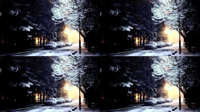 街道和汽车被雪覆盖的视频。