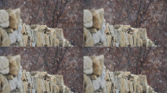 雪花纷纷飘落在威海里口山的山野石墙上