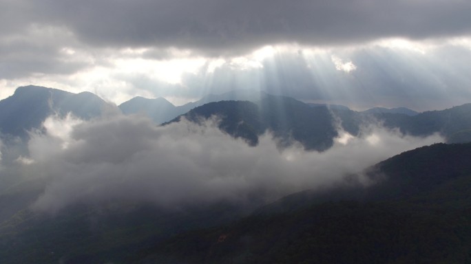 霸王岭森林公园