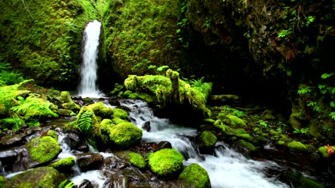 茂密雨林中的瀑布山水小溪溪水溪流大自然