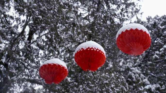 4K2022北京雪景玩雪红绣球