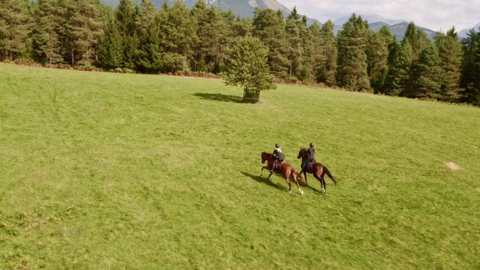 两个人在草地上骑马奔跑