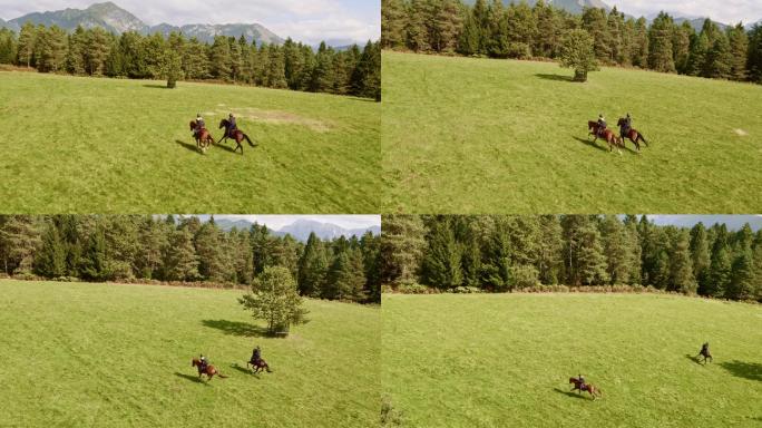 两个人在草地上骑马奔跑