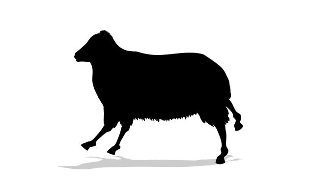 绵羊跑步动画