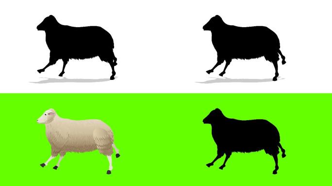 绵羊跑步动画