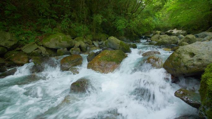 美丽的小溪奔涌自然生态环境可持续发展