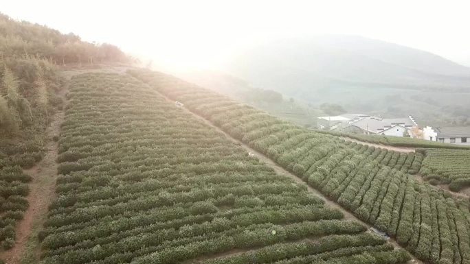 茶山绕飞