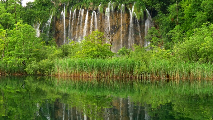 丰富的绿色植物群风景地形都市风光岩石