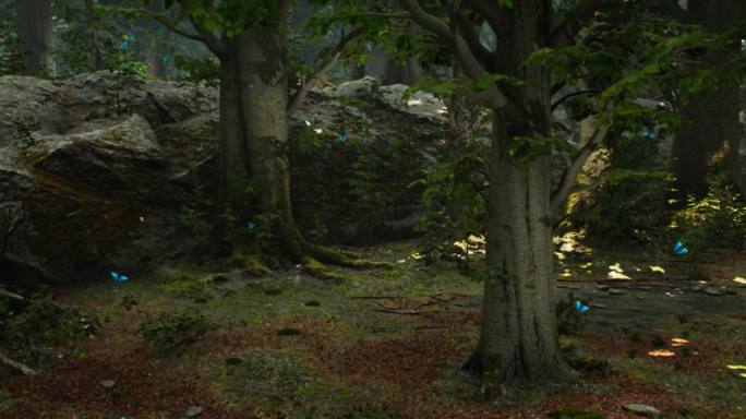 森林主题CG视频