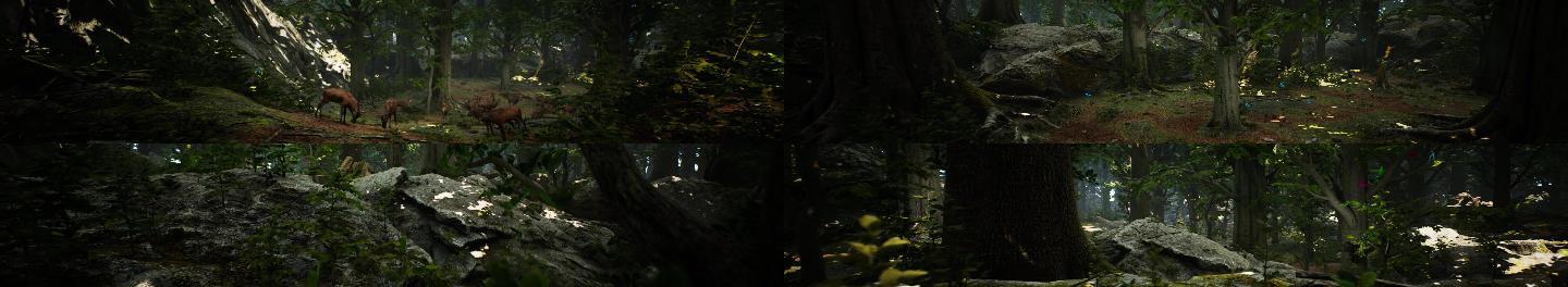 森林主题CG视频