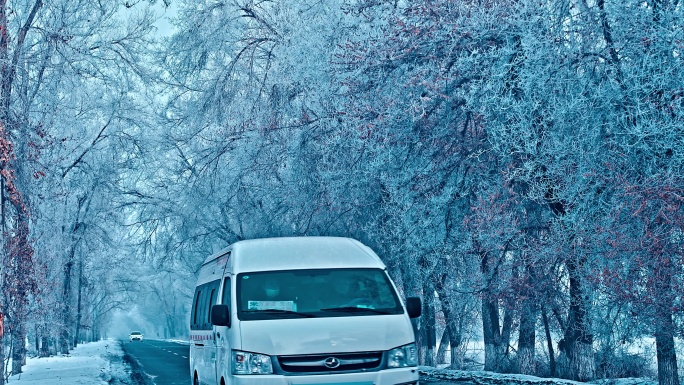 4K雾凇雪景 树挂