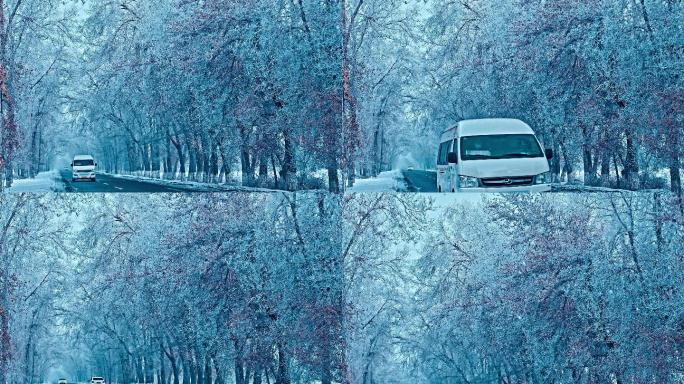 4K雾凇雪景 树挂