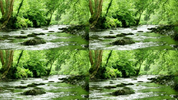 流动的河流热带雨林原始森林山涧小溪