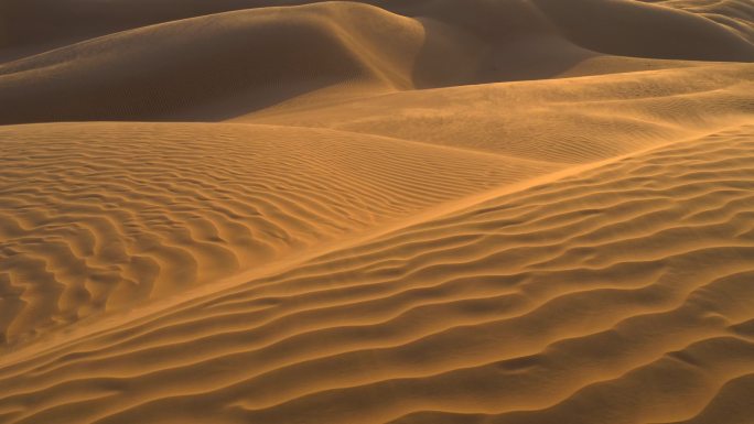 沙漠沙丘在风中荡漾。