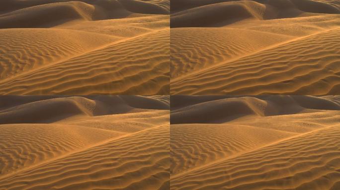 沙漠沙丘在风中荡漾。