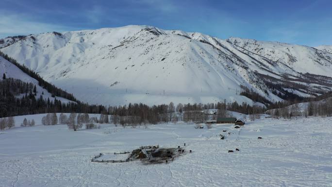 阿尔泰山区的雪景素材（4K高清）