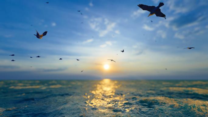 一群海鸟在大海飞翔视频素材