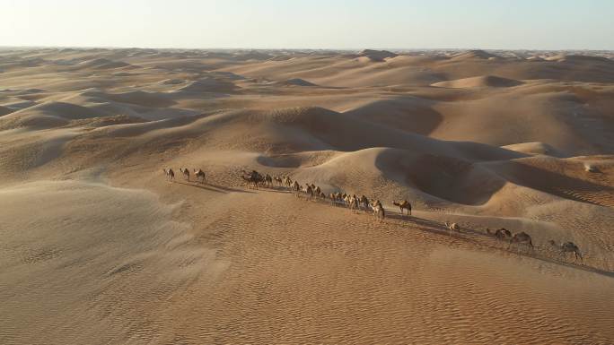 穿行在沙漠中的驼队