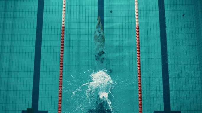 游泳运动员跳水入水体育赛事活动仰泳蛙泳