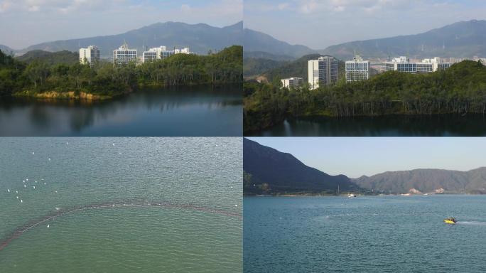 那山 那湖 那海  那海鸥