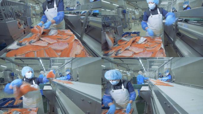 海鲜加工厂生鱼片食品厂分割
