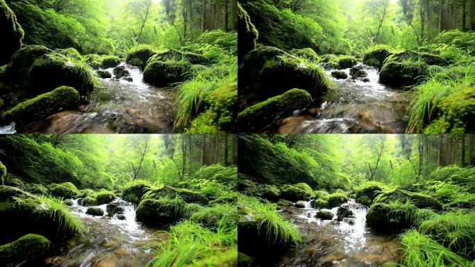 山间溪流绿水青山自然条件优越山泉水流淌矿