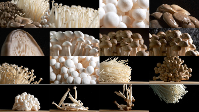 食材蘑菇食用菌菌类菌子
