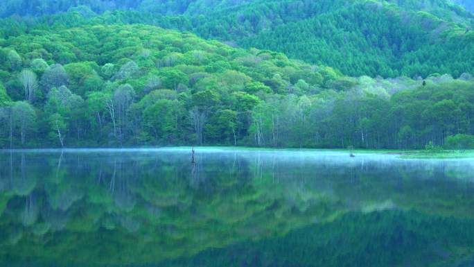 日本长野镜池环境美景倒影湖