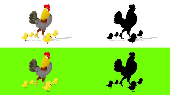 母鸡带着小鸡行走动画