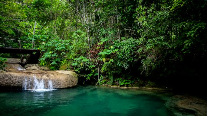 热带雨林中的小瀑布