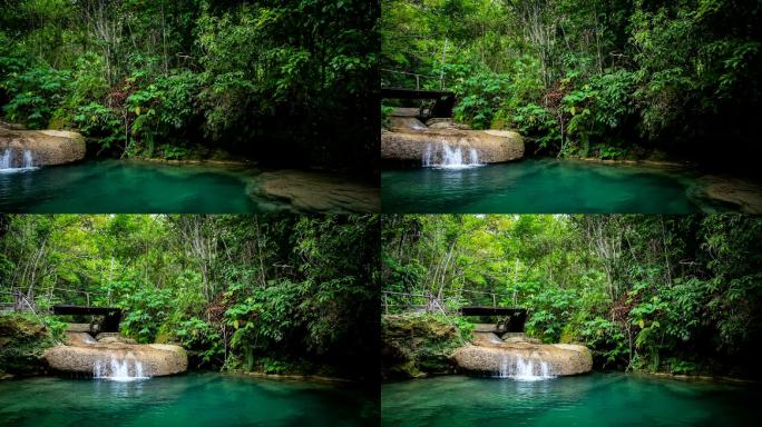 热带雨林中的小瀑布