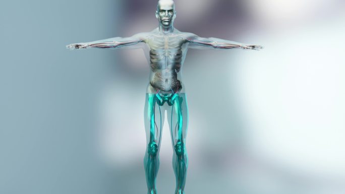 人体水分平衡机理动画效果功效三维模拟