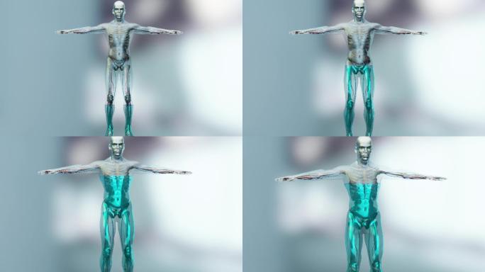 人体水分平衡机理动画效果功效三维模拟