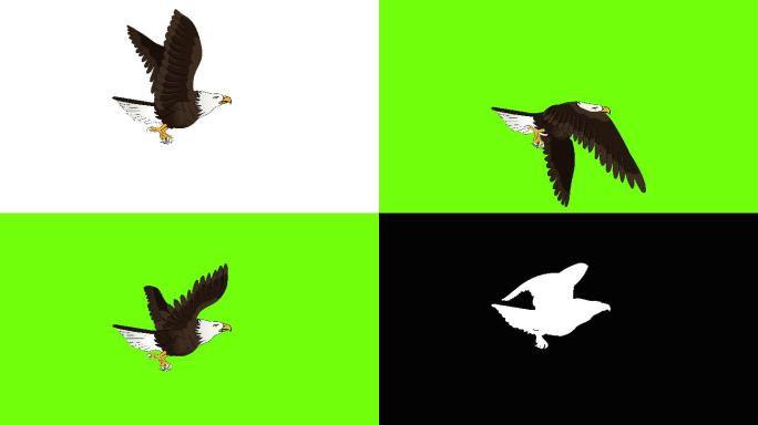 老鹰飞翔动画带通道绿屏绿幕抠像合成