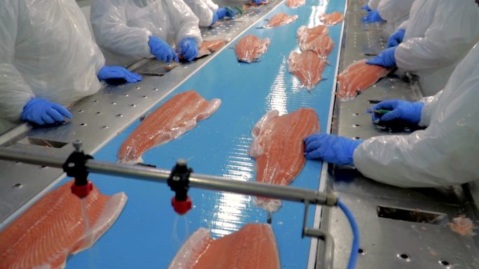 鲑鱼加工厂肉类加工日本海鱼鱼片食材