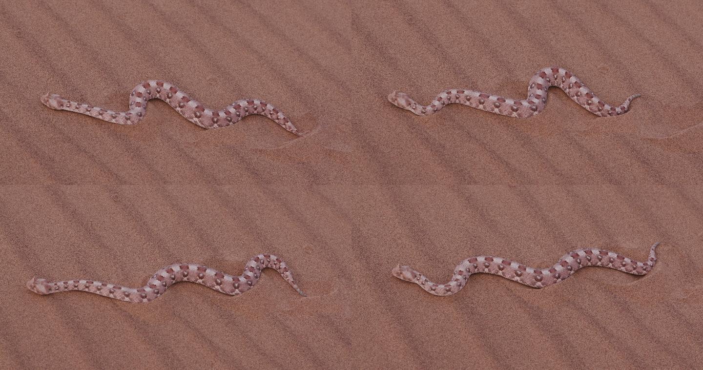 蝰蛇在沙地上移动沙漠蟒蛇炎热