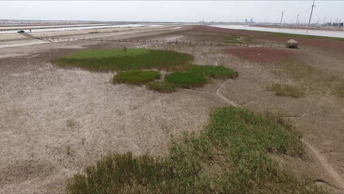 渤海  航拍 盐碱地 植被 荒地