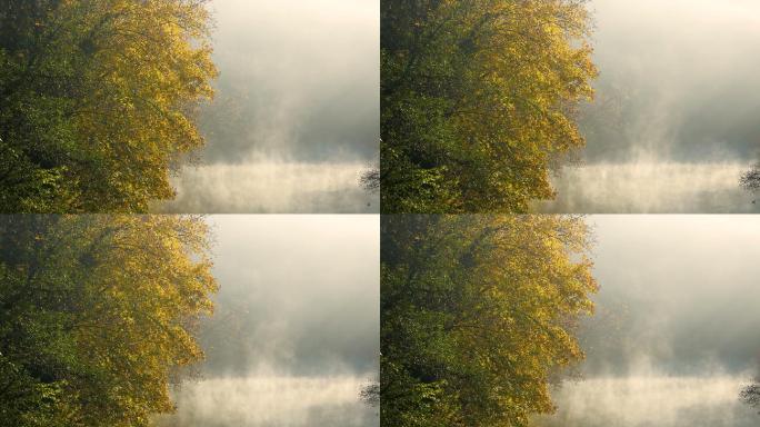 河面上的晨雾烟雾飘渺云雾笼罩湖面风光