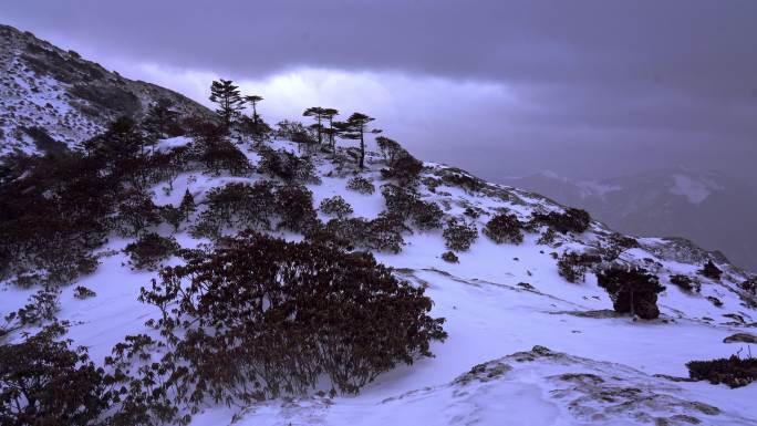 雪山露营