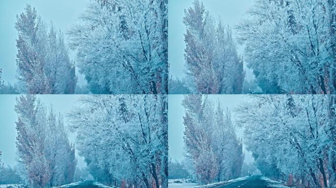 4K雾凇雪景 树挂