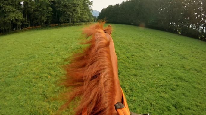骑马穿过草地棕色第一视角马术