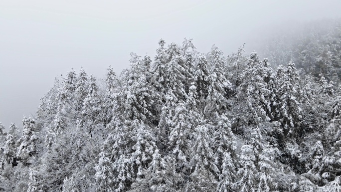 航拍山峰雪景