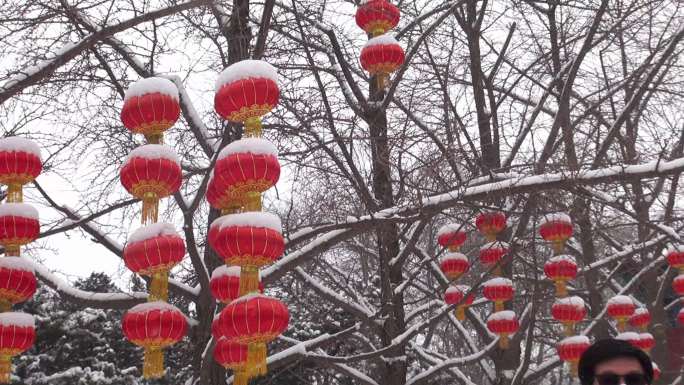 瑞雪纷飞节日喜庆-4K