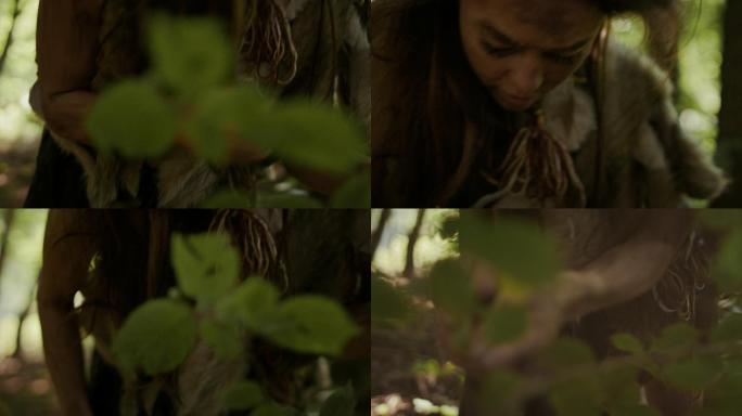 女性在森林中寻找坚果和浆果