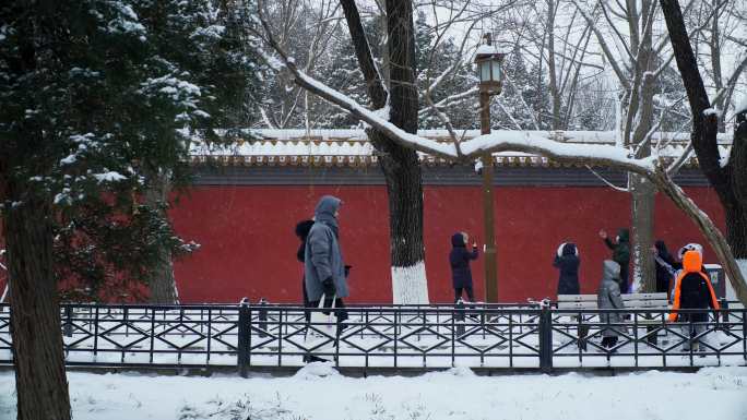 北京雪景1