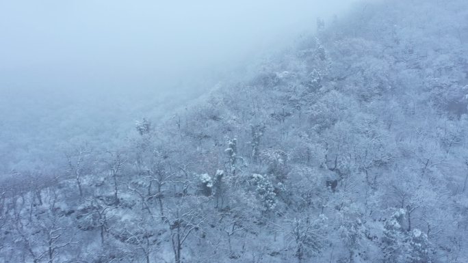 雪景