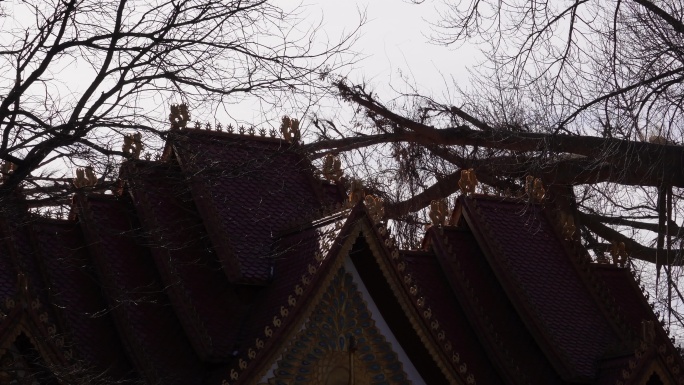 傣族房顶屋顶屋檐瓦片少数名族风情孔雀装饰